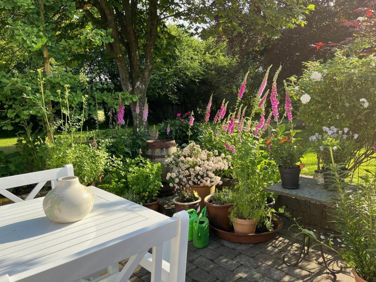 Fuglsang Bed & Breakfast Hjørring Exterior foto